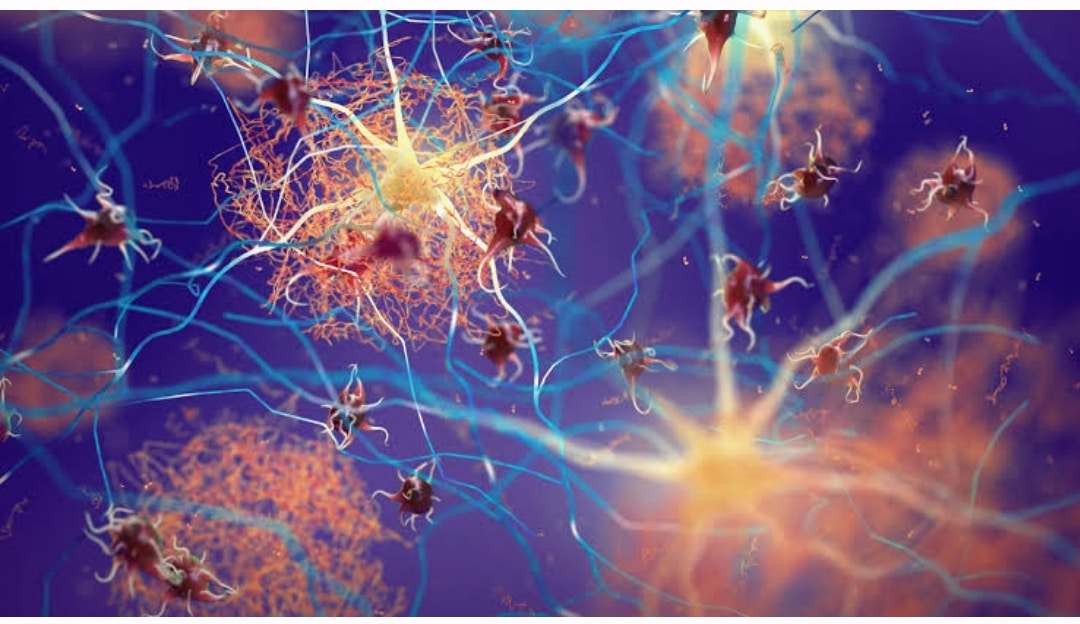 Επιστήμονες είδαν τα συμπτώματα της νόσου Αλτσχάιμερ να… αντιστρέφονται σε αρουραίους