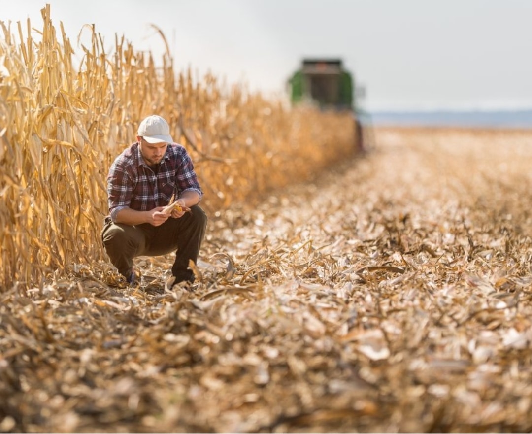 Επιστήμονες ανακαλύπτουν πως η βιολογική γεωργία «φυλακίζει» τον άνθρακα στο έδαφος