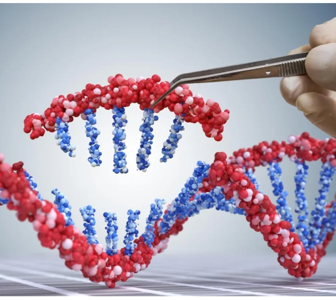 Επιστήμονες «ξυπνούν» χαμένο ανθρώπινο γονίδιο που προστατεύει από ουρική αρθρίτιδα και λιπώδες ήπαρ