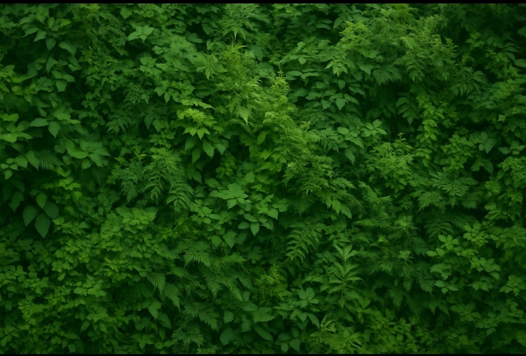 Σκοτεινή Βιοποικιλότητα: Όταν η Φύση Κρύβει τα Ίχνη της