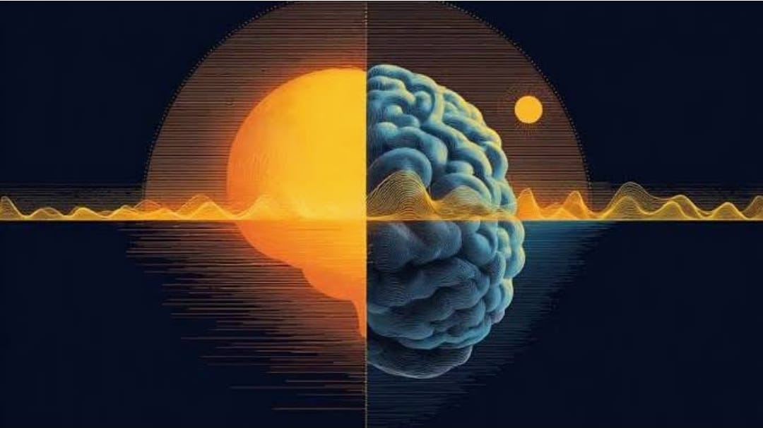 Πότε ο εγκέφαλος μαθαίνει καλύτερα μέσα στη μέρα;