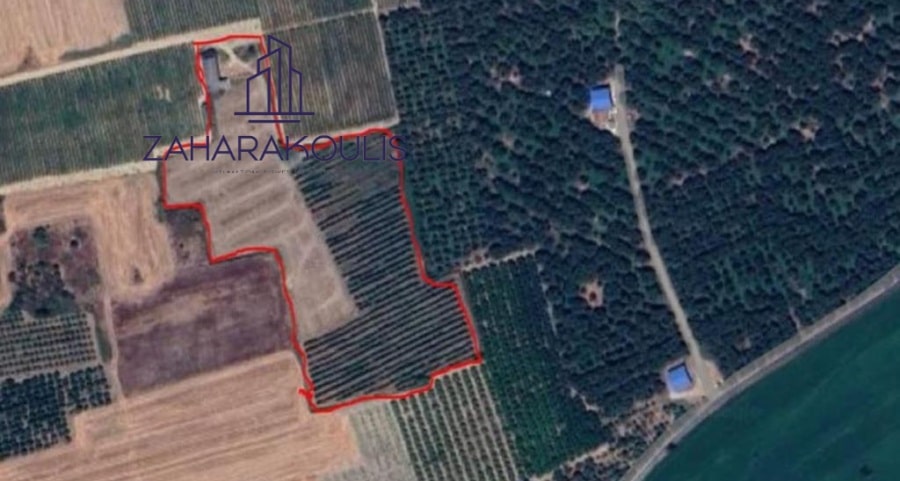 Πωλείται αγροτεμάχιο με καλλιέργειες στον Τύρναβο