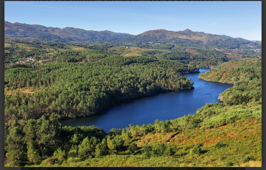 Στην κορυφή της ΕΕ η Πορτογαλία για την αύξηση των δασών