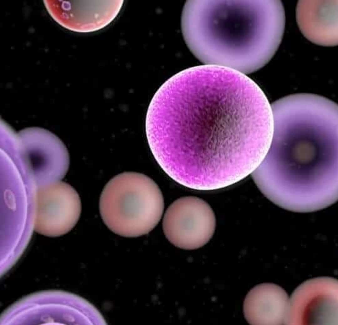 Θεραπεία και όχι Καταστροφή: Μια Νέα Προσέγγιση στον Καρκίνο