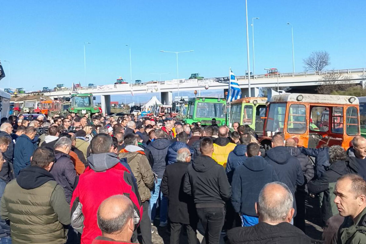 Α.Σ. πρ. δήμου Πλατυκάμπου: Με τους αγώνες μας άνοιξε ο δρόμος για ενισχύσεις στη μηδική