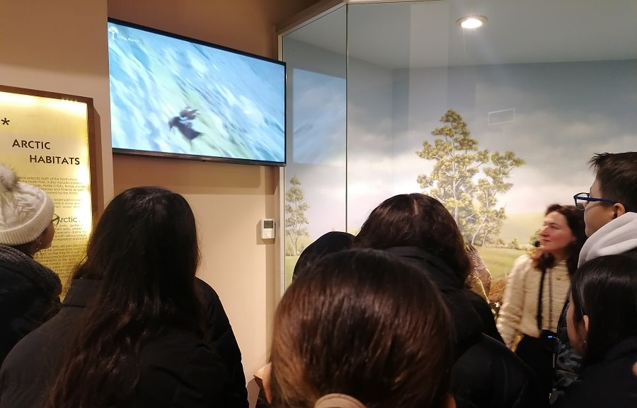 6ο Γυμνάσιο Λάρισας: Μαθητές εξερευνούν τη φύση και την ιστορία σε λευκό τοπίο