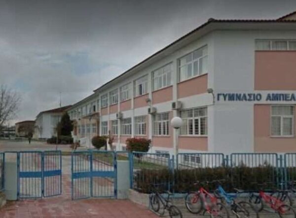 Σημαντική επιτυχία μαθητριών του Γυμνασίου Αμπελώνα στις εξετάσεις ΚΠγ Γερμανικών
