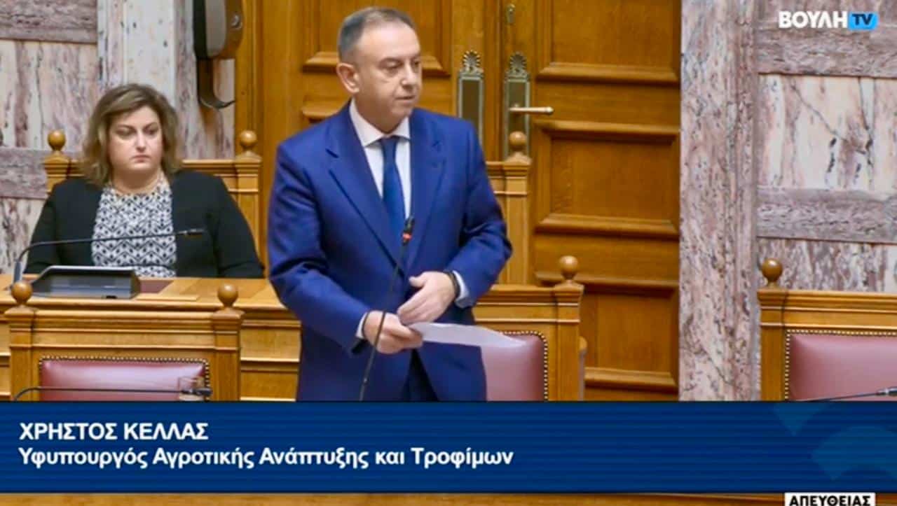 Χρ. Κέλλας: Δεν υπάρχει εγκεκριμένο εμβόλιο κατά της ευλογιάς στην ΕΕ