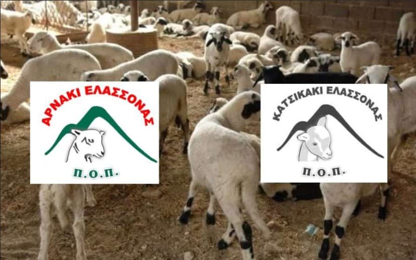 Πιστοποίηση διαδικασίας πώλησης ΠΟΠ προϊόντων “Αρνάκι – Κατσικάκι Ελασσόνας”