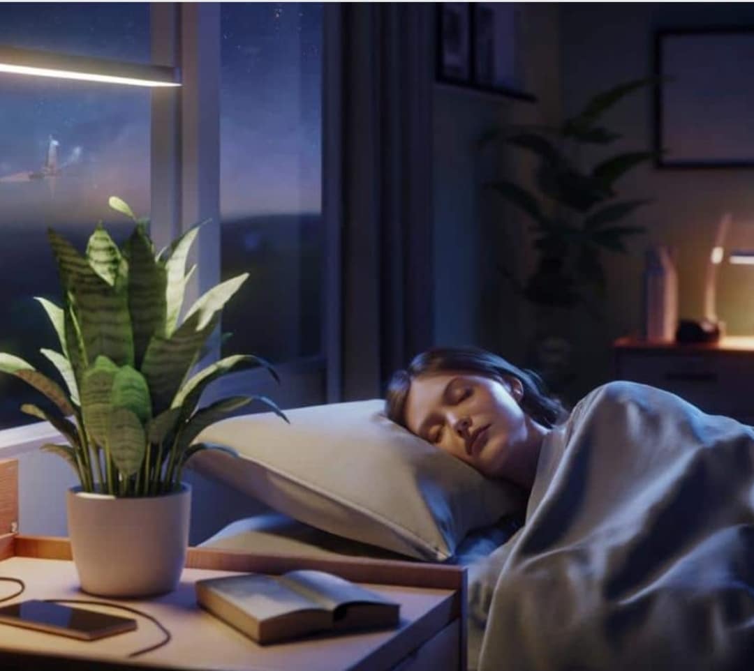 Ένα μόνο φυτό στο υπνοδωμάτιο μπορεί να αυξήσει τον βαθύ ύπνο έως και 37% – τι δείχνει νέα μελέτη της NASA