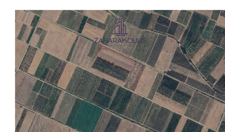 Πωλείται αγροτεμάχιο 23.494 τ.μ. στη θέση «Φραγκόζι» Τυρνάβου