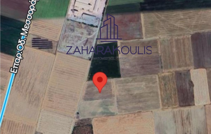 Πωλούνται δύο αγροτεμάχια στη θέση «Μπέη Μαγούλα» στον Άγιο Γεώργιο Λάρισας
