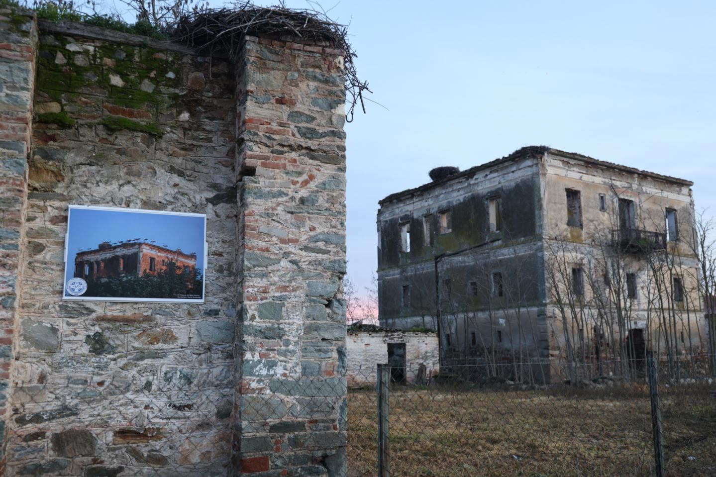 Πελαργοί στη Γυρτώνη ακόμη και το χειμώνα!