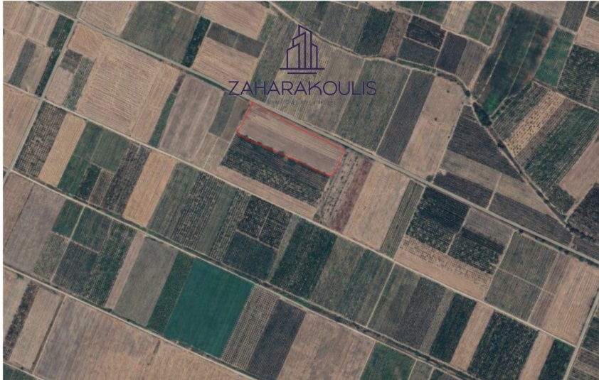 Πωλείται αγροτεμάχιο στη θέση «Φραγκόζη» Τυρνάβου