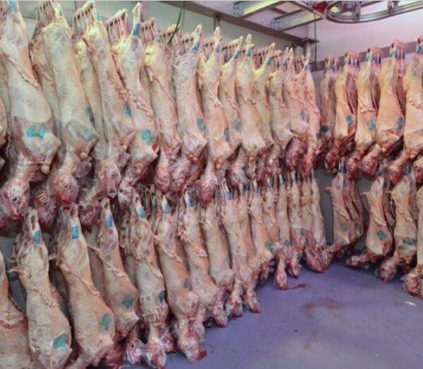 H Διεύθυνση Κτηνιατρικής Περιφέρειας Θεσσαλίας για τη σφαγή των ζώων ενόψει Πάσχα