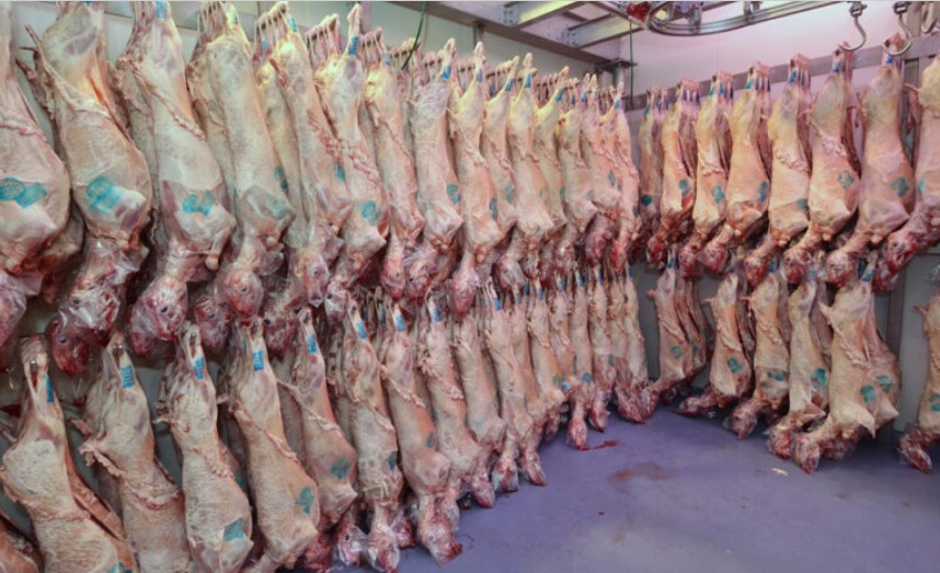 Παραλογισμοί και αβεβαιότητα στην αγορά αμνοεριφίων ενόψει Πάσχα