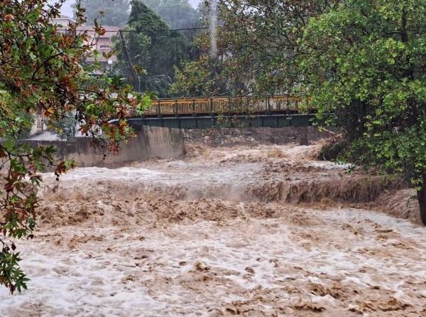 Συμμαχία υπέρ των Πολιτών: «Όταν πέφτει βροχή 1000ετίας…»