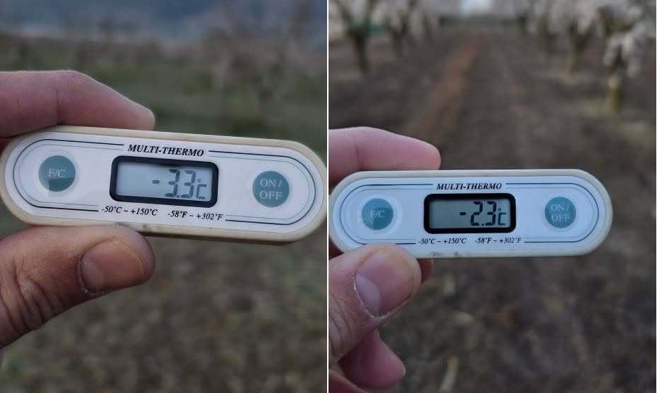 Παγετός για δεύτερη ημέρα σε όλο το δήμο Τυρνάβου – Θερμοκρασίες έως -3,3°C