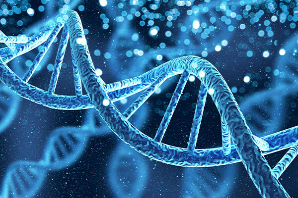 Πλαστικά: “Θηλυκοποίηση” αρσενικών και “αρρενοποίηση” θηλυκών από έκθεση πριν τη γέννηση