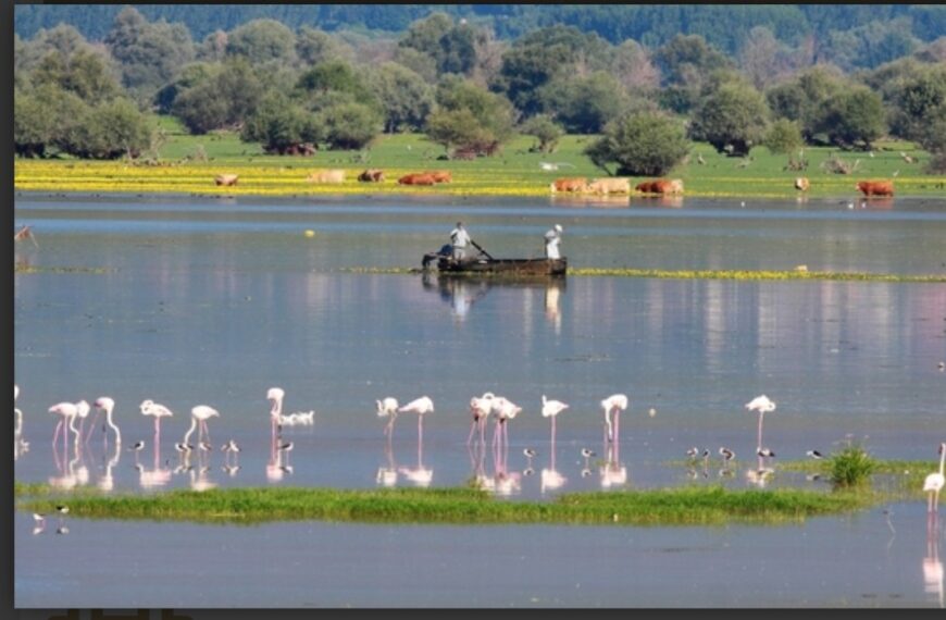 Κύμα αντιδράσεων φέρνει το παράθυρο πολεοδόμησης στις περιοχές Natura