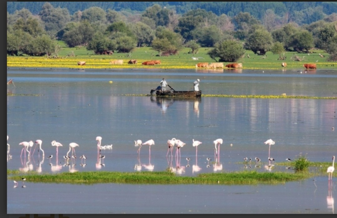 Κύμα αντιδράσεων φέρνει το παράθυρο πολεοδόμησης στις περιοχές Natura