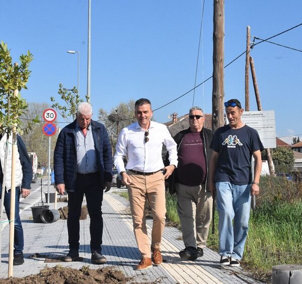 Δ. Λαρισαίων: Νέα δέντρα στη Φαλάνη