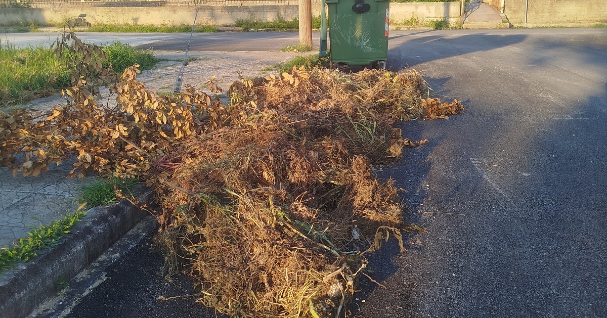 Αιδώς αχρείοι…