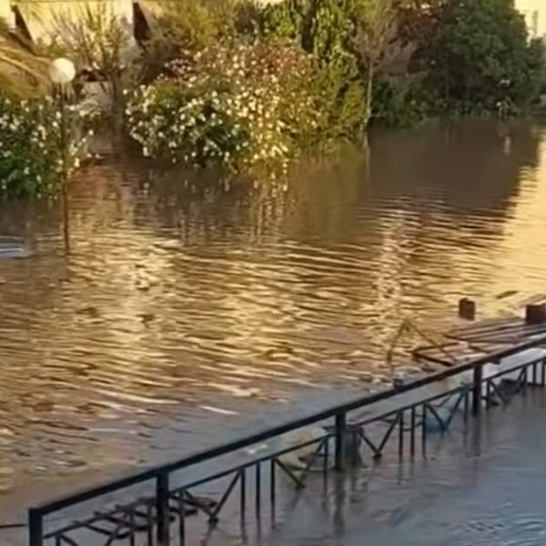 Μαθητές Γυμνασίου Γιάννουλης: Ο τόπος μας μέσα από τα μάτια μας