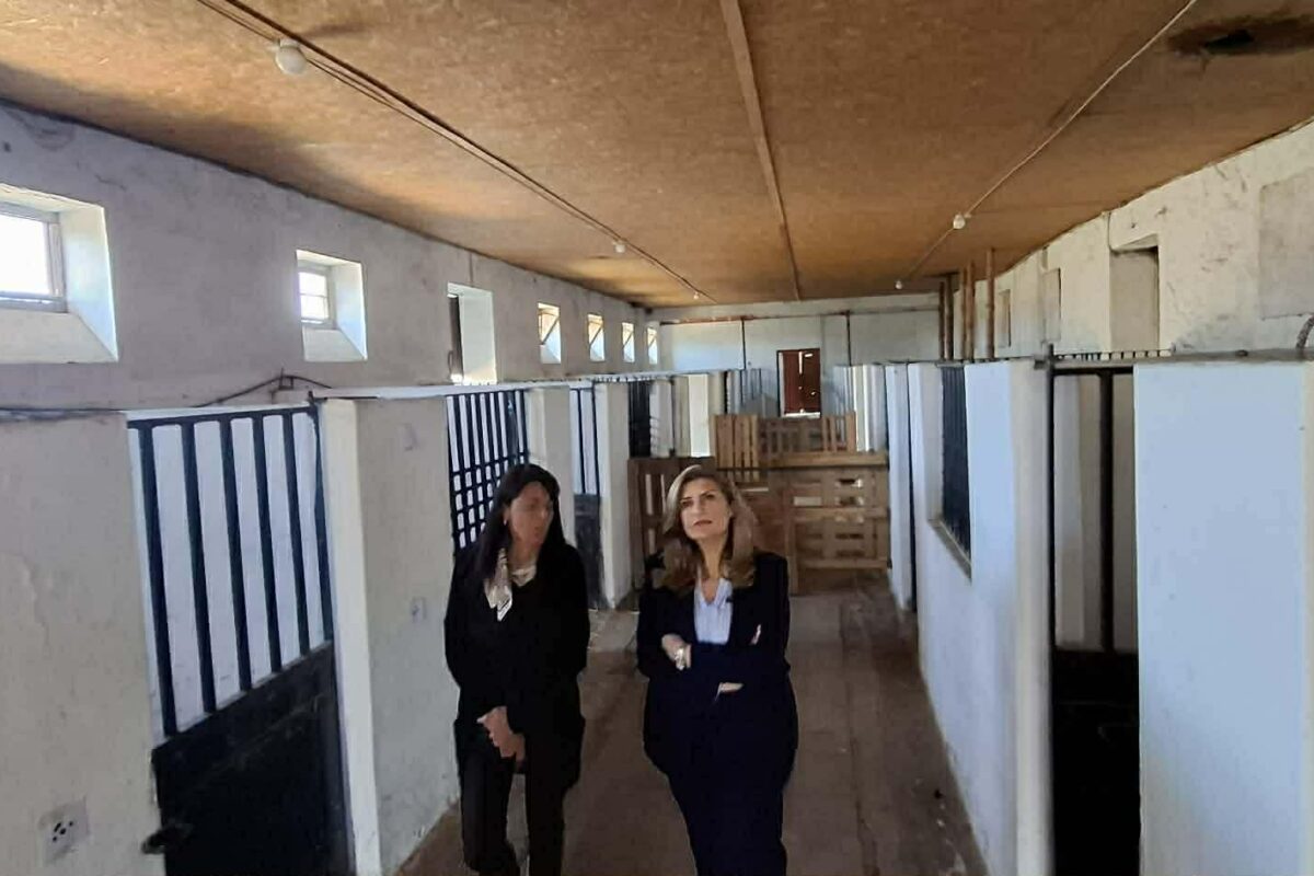 Ε. Λιακούλη: «Δείτε την Αβερώφειο Σχολή : Απίστευτος πλούτος που χάνεται – Ζητώ παρέμβαση ΤΩΡΑ !»