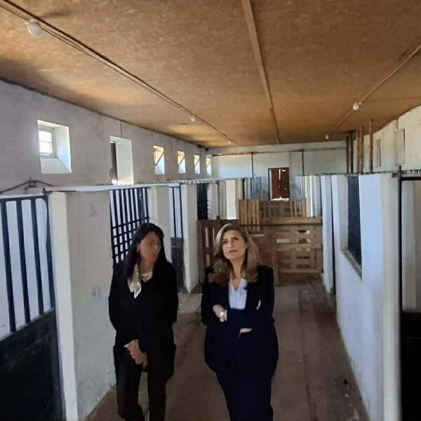 Ε. Λιακούλη: «Δείτε την Αβερώφειο Σχολή : Απίστευτος πλούτος που χάνεται – Ζητώ παρέμβαση ΤΩΡΑ !»