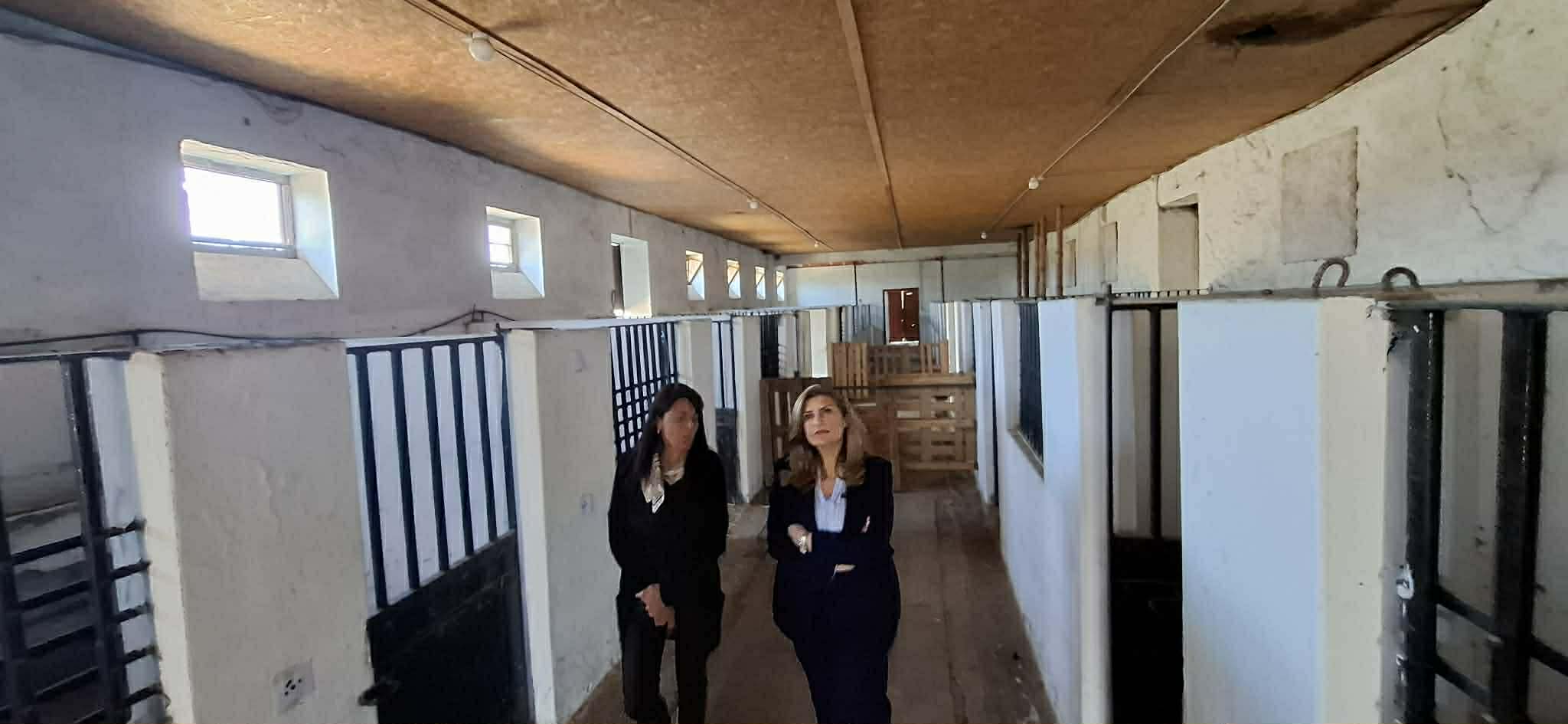 Ε. Λιακούλη: «Δείτε την Αβερώφειο Σχολή : Απίστευτος πλούτος που χάνεται – Ζητώ παρέμβαση ΤΩΡΑ !»