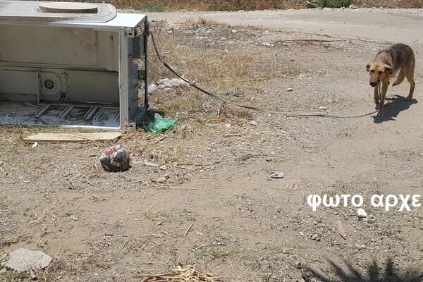 Συνελήφθη γυναίκα στον Αμπελώνα που κατηγορείται ότι είχε μόνιμα δεμένο τον σκύλο της