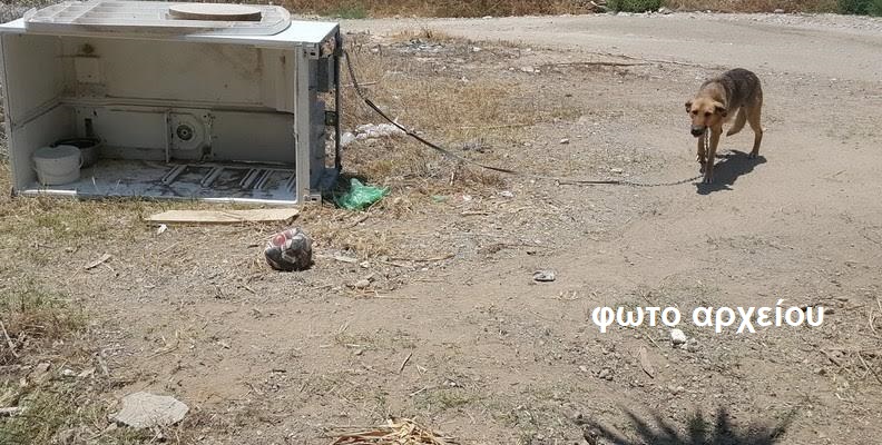 Συνελήφθη γυναίκα στον Αμπελώνα που κατηγορείται ότι είχε μόνιμα δεμένο τον σκύλο της