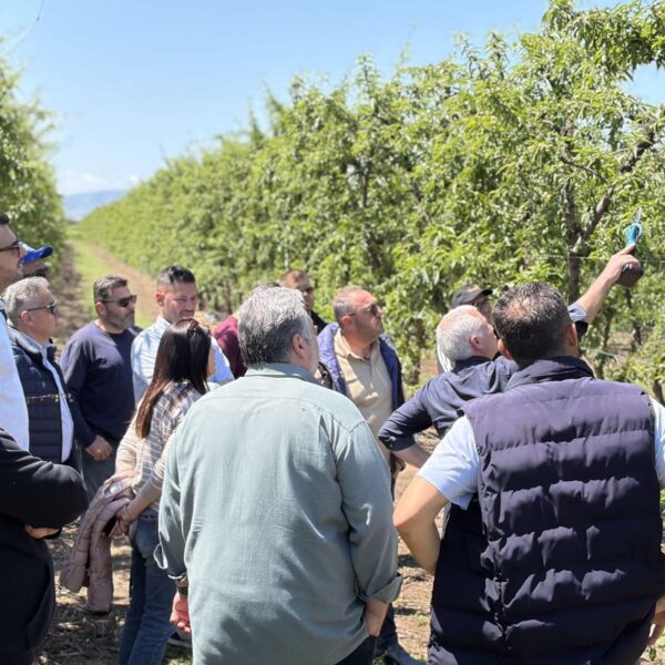 Νέες αυτοψίες και λήψη δειγμάτων για τις εκτεταμένες ζημιές στις δενδροκαλλιέργειες