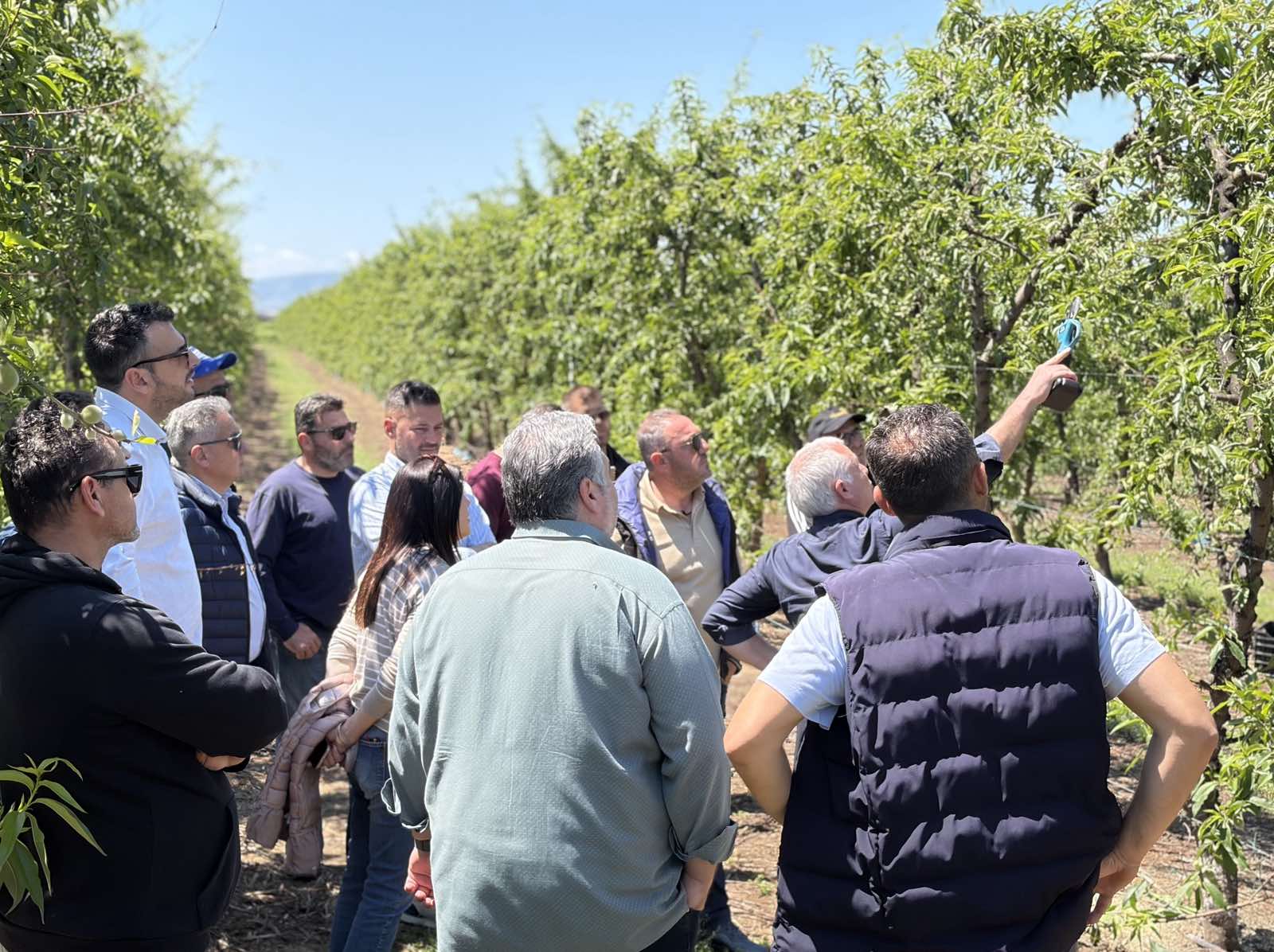 Νέες αυτοψίες και λήψη δειγμάτων για τις εκτεταμένες ζημιές στις δενδροκαλλιέργειες