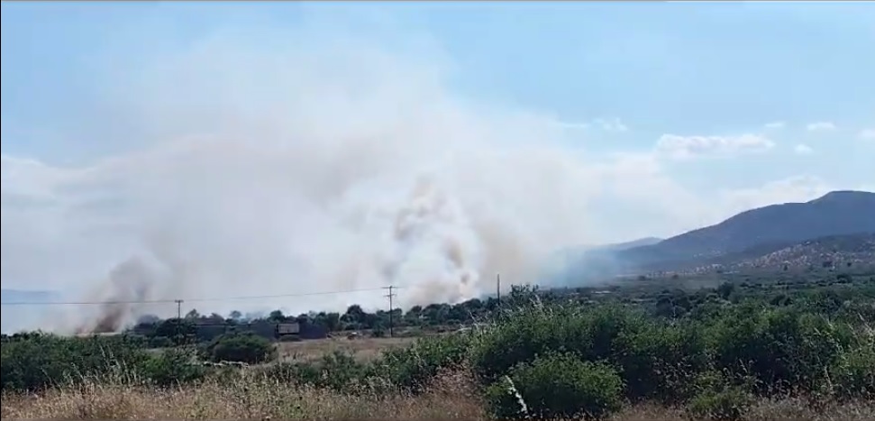 Μεγάλη φωτιά σε εξέλιξη στους Γόννους απειλεί και καλλιέργειες (φωτο – βίντεο)