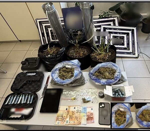 Συνελήφθη 28χρονος Λαρισαίος με υδροπονική καλλιέργεια και ξηραντήριο κάνναβης