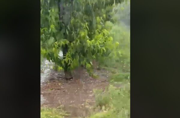 Δεύτερη δυνατή χαλαζόπτωση ολοκλήρωσε την καταστροφή στον Τύρναβο