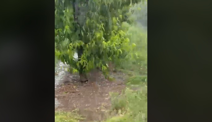 Δεύτερη δυνατή χαλαζόπτωση ολοκλήρωσε την καταστροφή στον Τύρναβο