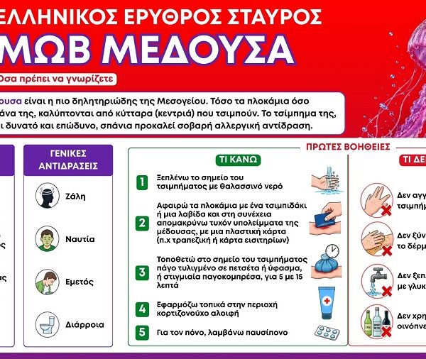 Ελληνικός Ερυθρός Σταυρός: 5 οδηγίες για αντιμετώπιση τσιμπήματος από μωβ μέδουσα