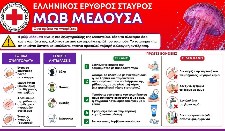Ελληνικός Ερυθρός Σταυρός: 5 οδηγίες για αντιμετώπιση τσιμπήματος από μωβ μέδουσα