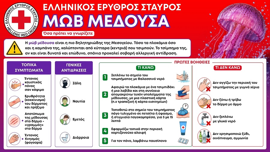 Ελληνικός Ερυθρός Σταυρός: 5 οδηγίες για αντιμετώπιση τσιμπήματος από μωβ μέδουσα