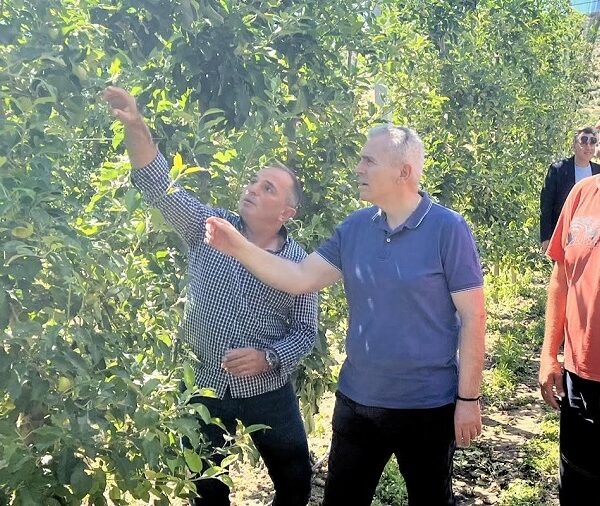 Μ. Χαρακόπουλος: Πρωτόγνωρης σφοδρότητας χαλαζόπτωση κατέστρεψε και αντιχαλαζικά δίχτυα!