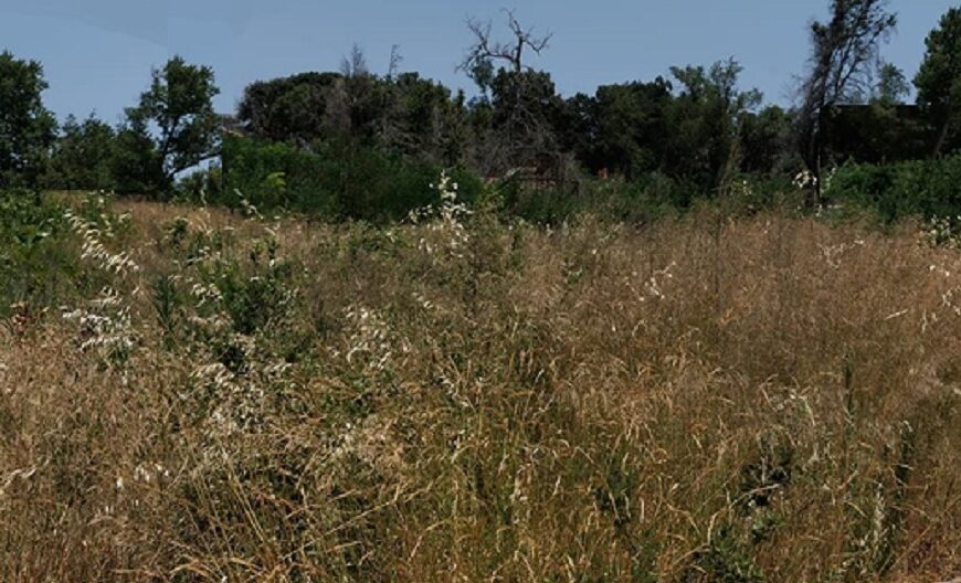 Κτηνοτρόφοι: Τα κοπάδια είναι κλεισμένα στους στάβλους και τα βοσκοτόπια «μυρίζουν» μπαρούτι
