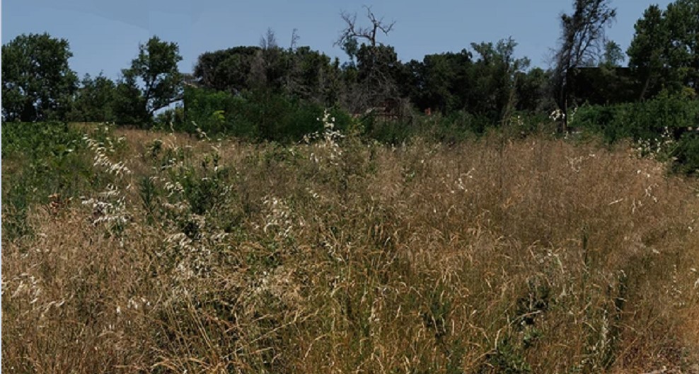 Κτηνοτρόφοι: Τα κοπάδια είναι κλεισμένα στους στάβλους και τα βοσκοτόπια «μυρίζουν» μπαρούτι
