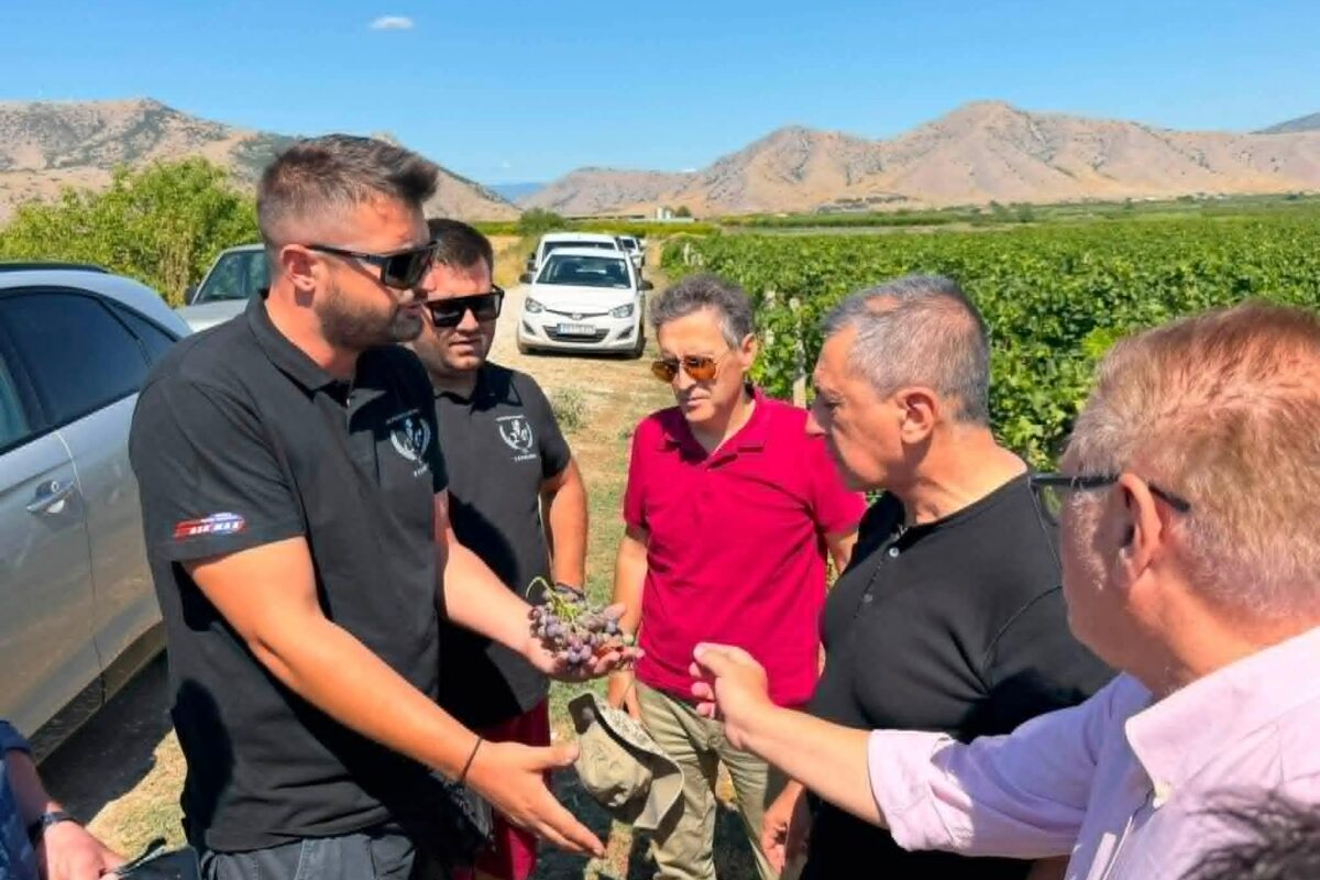 Συνέλευση αγροτών σήμερα Δευτέρα στον Τύρναβο για τις τεράστιες ζημιές της χαλαζόπτωσης