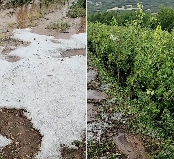 Άμεση παρέμβαση του Δήμου Τυρνάβου μετά τη σφοδρή χαλαζόπτωση