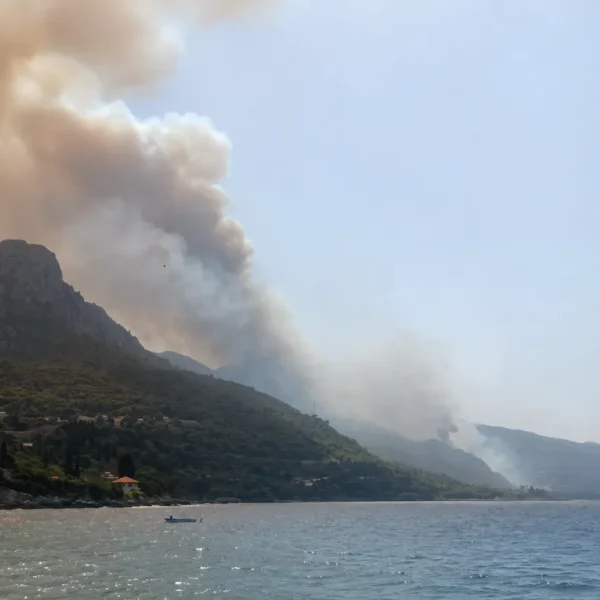 Μάχη με τις φλόγες στον Άγιο Βασίλειο Βοιωτίας – Πανικός και αγωνία: «Ρωτήστε κανέναν άλλο… Δεν θέλω να πω καλά λόγια»