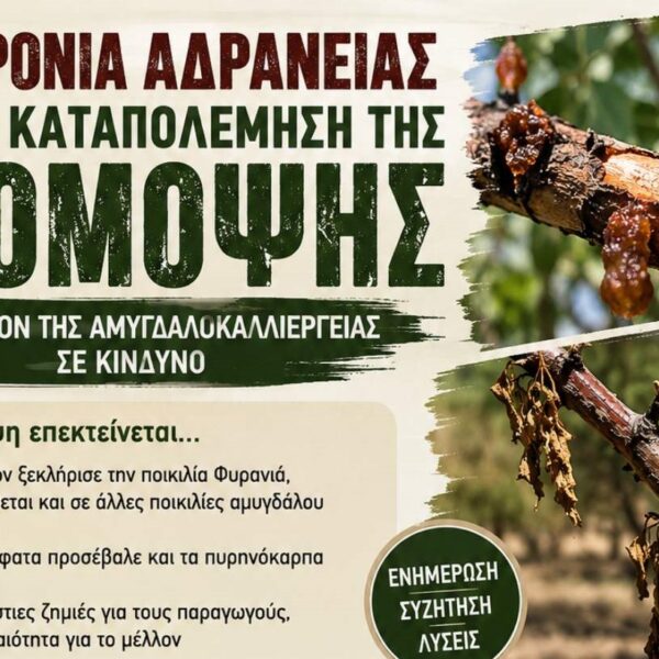 Σύσκεψη με τον καθηγητή Γεώργιο Καραογλανίδη για τη φόμοψη σήμερα στο Συκούριο