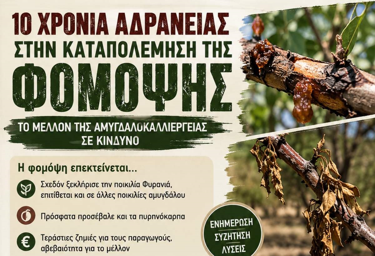 Σύσκεψη με τον καθηγητή Γεώργιο Καραογλανίδη για τη φόμοψη σήμερα στο Συκούριο